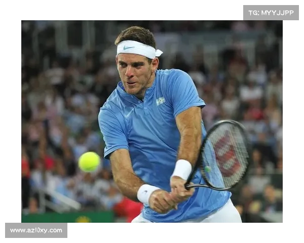 戴维斯杯观众创意助威横幅走红网络,体现球迷文化多元